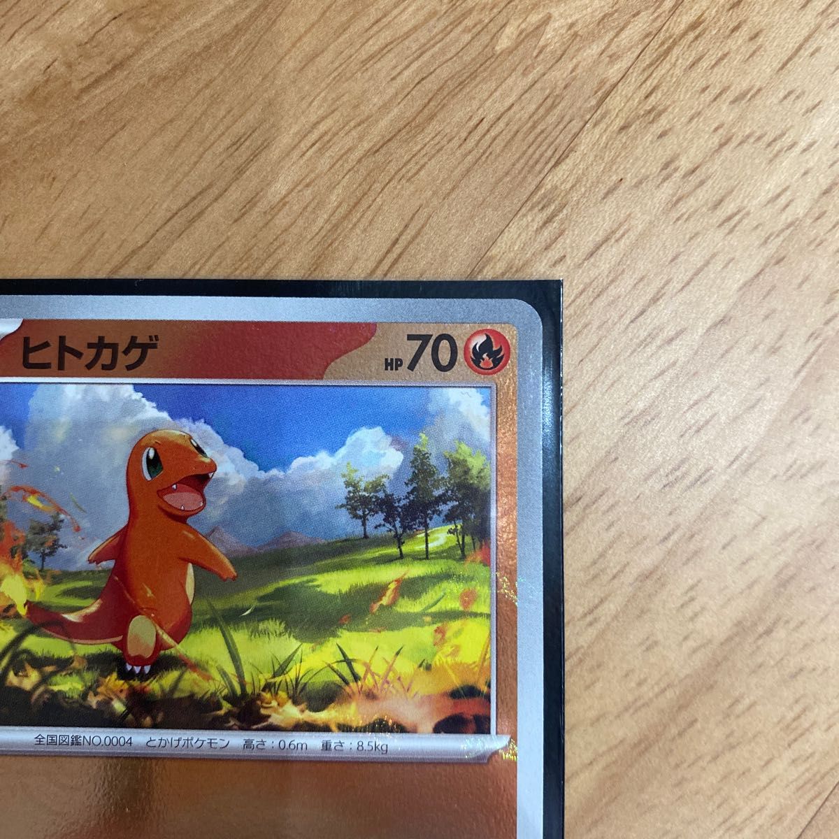 ポケモンカード ヒトカゲ C マスターボール マスターボール ポケモンカード ヒトカゲ C マスターボール マスターボール