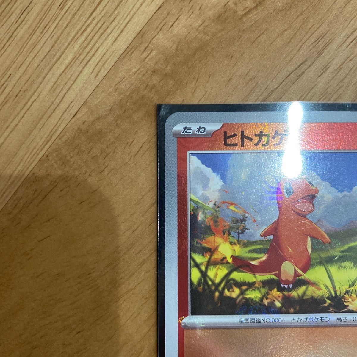 ポケモンカード ヒトカゲ C マスターボール マスターボール ポケモンカード ヒトカゲ C マスターボール マスターボール