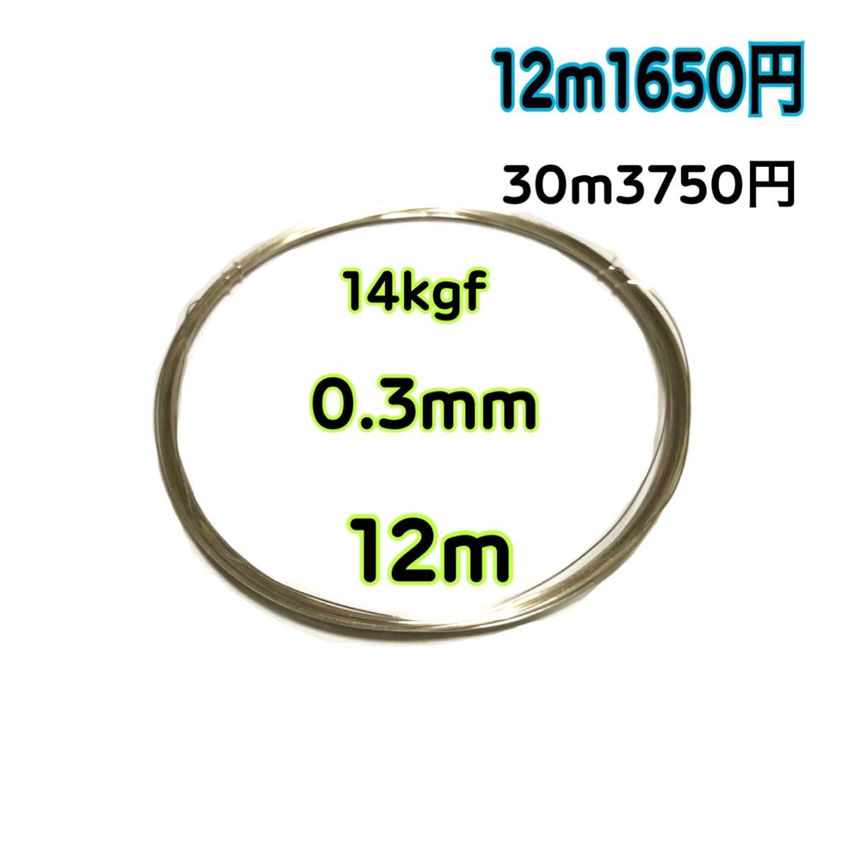 【12m】線径0.3mm  シルバーフィルド ソフトワイヤー　ハンドメイドアクセサリー作り等に　大量まとめ売り　激安