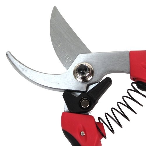 E-Value pruning scissors EGP-4DBCB pruning . pruning basami branch cut .basamika navi la attaching 