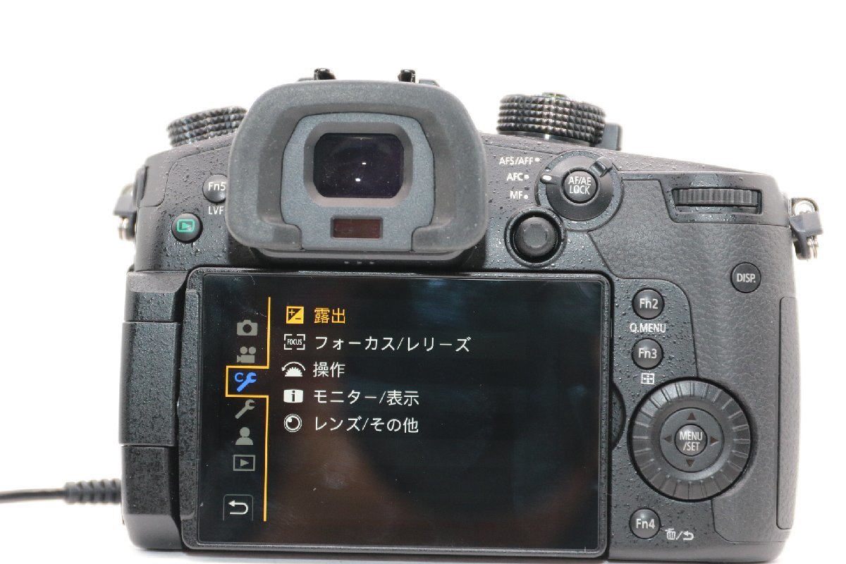 格安 LUMIX + GH5 LUMIX PANASONIC N41【訳あり大特価】パナソニック G