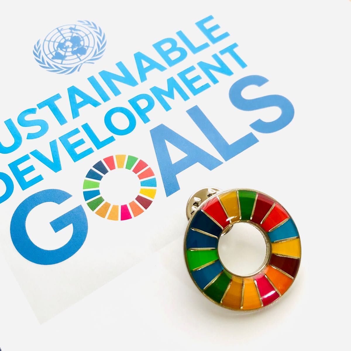 SDGs ピンバッジ 国連本部 限定販売　2点セット