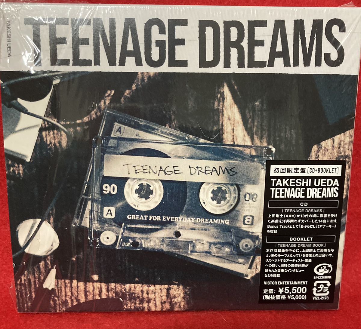 TAKESHI UEDA 上田剛士 TEENAGE DREAMS 初回限定盤 AA= THE MAD
