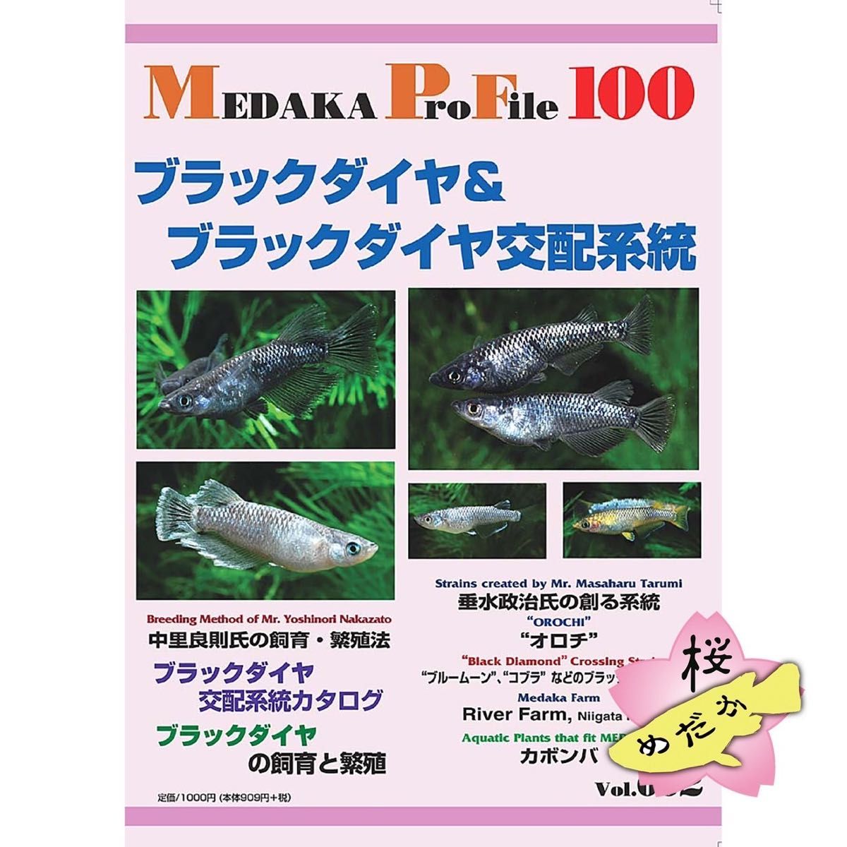 ブラックダイヤ & ブラックダイヤ交配系統 Medaka Pro File 2