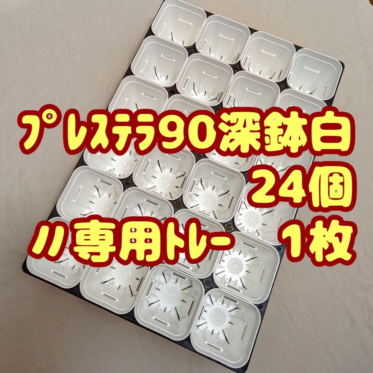 ◇送料無料◇【スリット鉢】プレステラ90深鉢白24個+専用システム