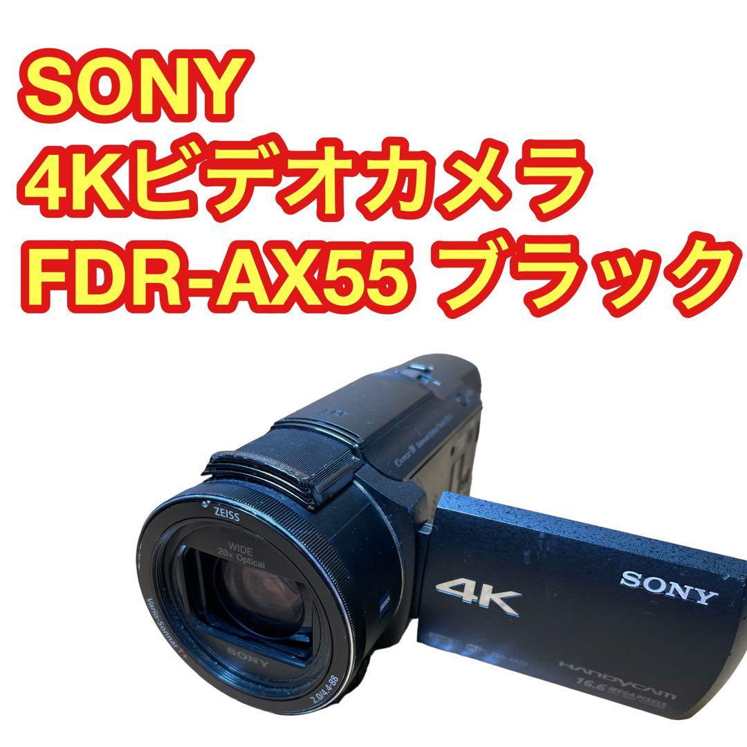 好評 SONY ソニー FDR-AX55 ビデオカメラ 4K ソニー - www.zdjelarevic.net