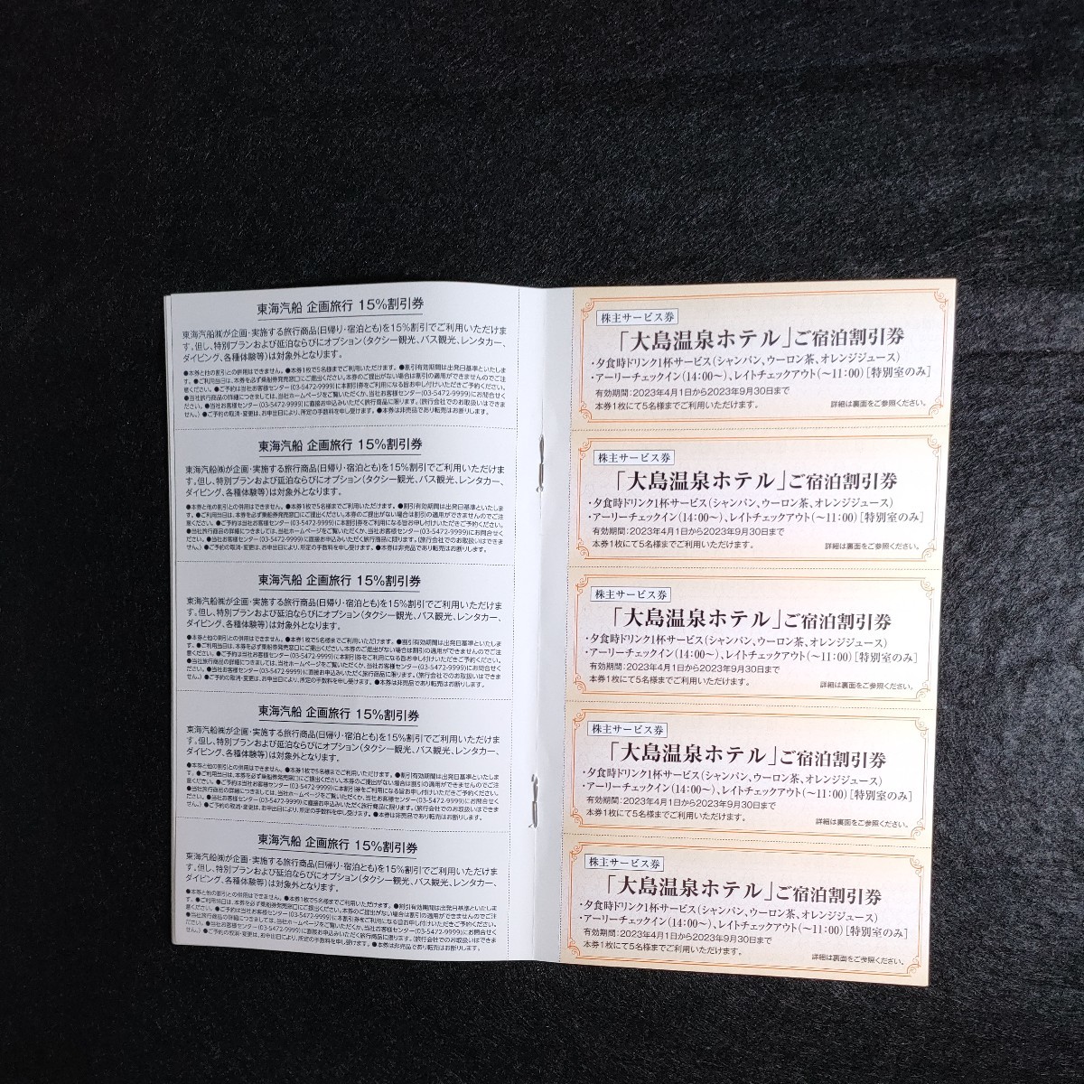 東海汽船 株主乗船割引券一冊十枚(2023年9月30日まで)と株主サービス券の画像6
