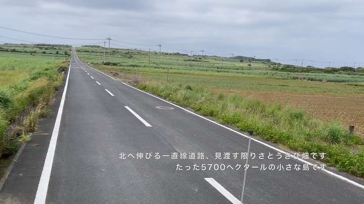  粗糖（生ザラメ）やさしい味でミネラル豊富（今年・2023年産）（プレゼント付 喜界島の農家から発送）　20袋- 落札累計 342　道の島農園_どこまでも続くサトウキビ畑