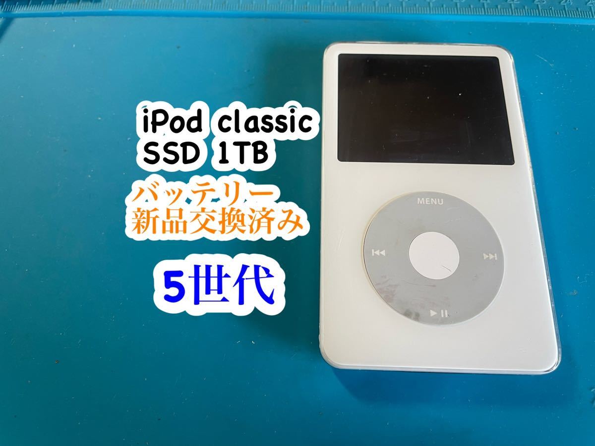 iPod classic 5世代SSD 1TB ホワイト バッテリー新品交換済み 561｜PayPayフリマ