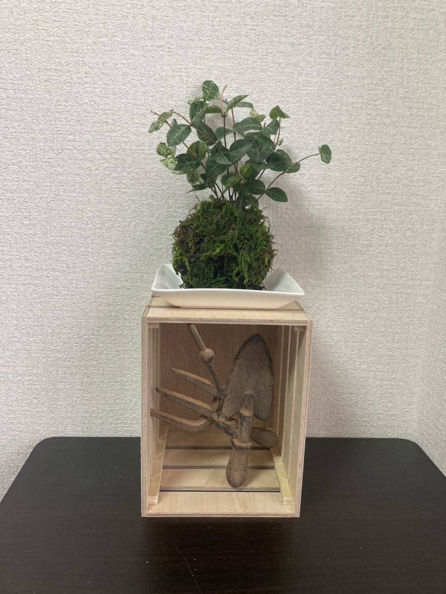 item_image_10