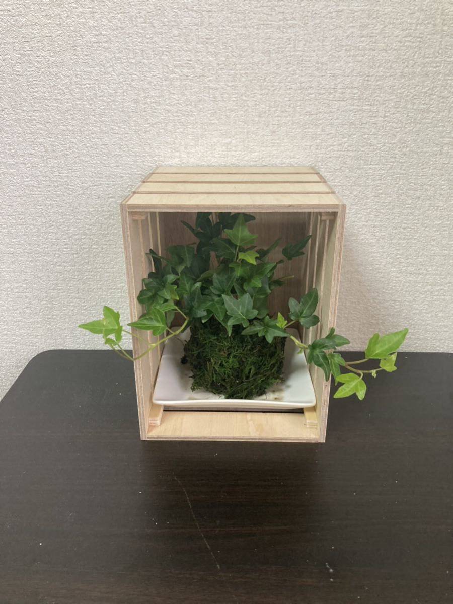 item_image_9