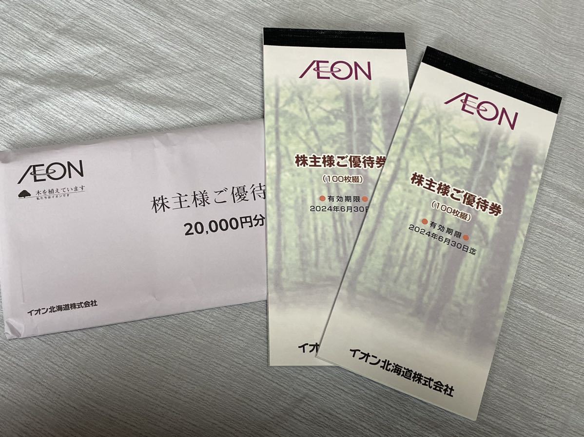 ★送料無料★イオン北海道　株主優待券　100円券×20枚綴が2冊（20000円分 ）2024年6月30日迄_画像2