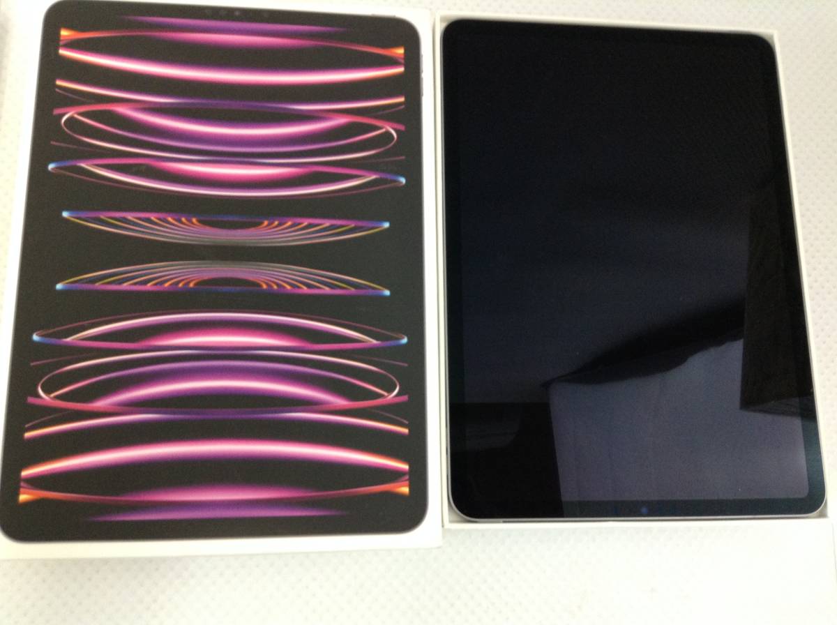 idK603 送料無料 Apple iPad Pro 11インチ 第4世代 Wi-Fi 128GB
