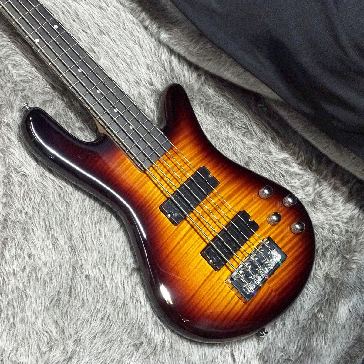 その他 Spector Legend 5 Standard Tabacco Burst Gloss