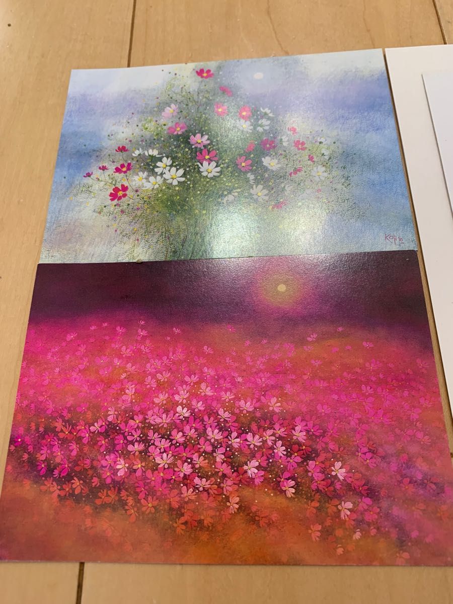 荒木幸史 コスモス 花宇宙 レター 絵葉書セット