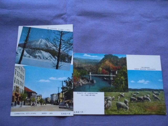 P182　絵葉書　ポストカード　北海道の旅　冬の羊蹄山・小樽市ほか　2枚_画像1