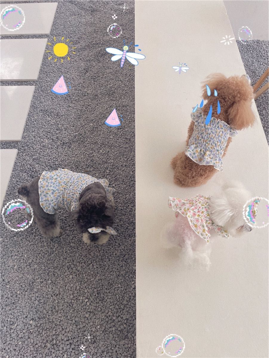 犬服 ドッグウェア 猫服 人気 夏服 超薄手 可愛い花柄 リボン キャミソール|PayPayフリマ 犬服 ドッグウェア チワワ ニッセン SS 花柄キャミソール