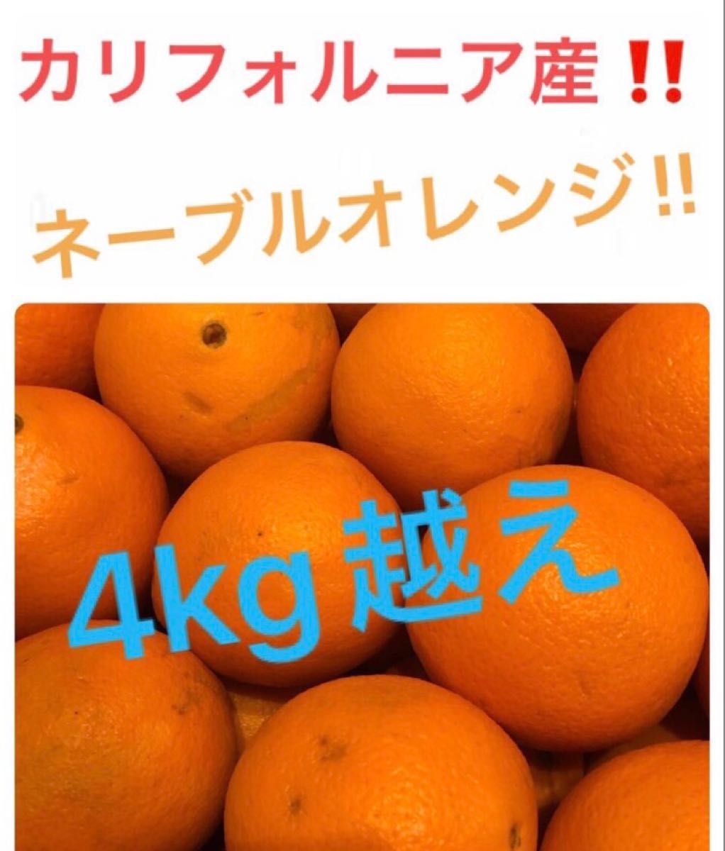 カリフォルニア産オレンジはねだし品箱込み約4kg以上