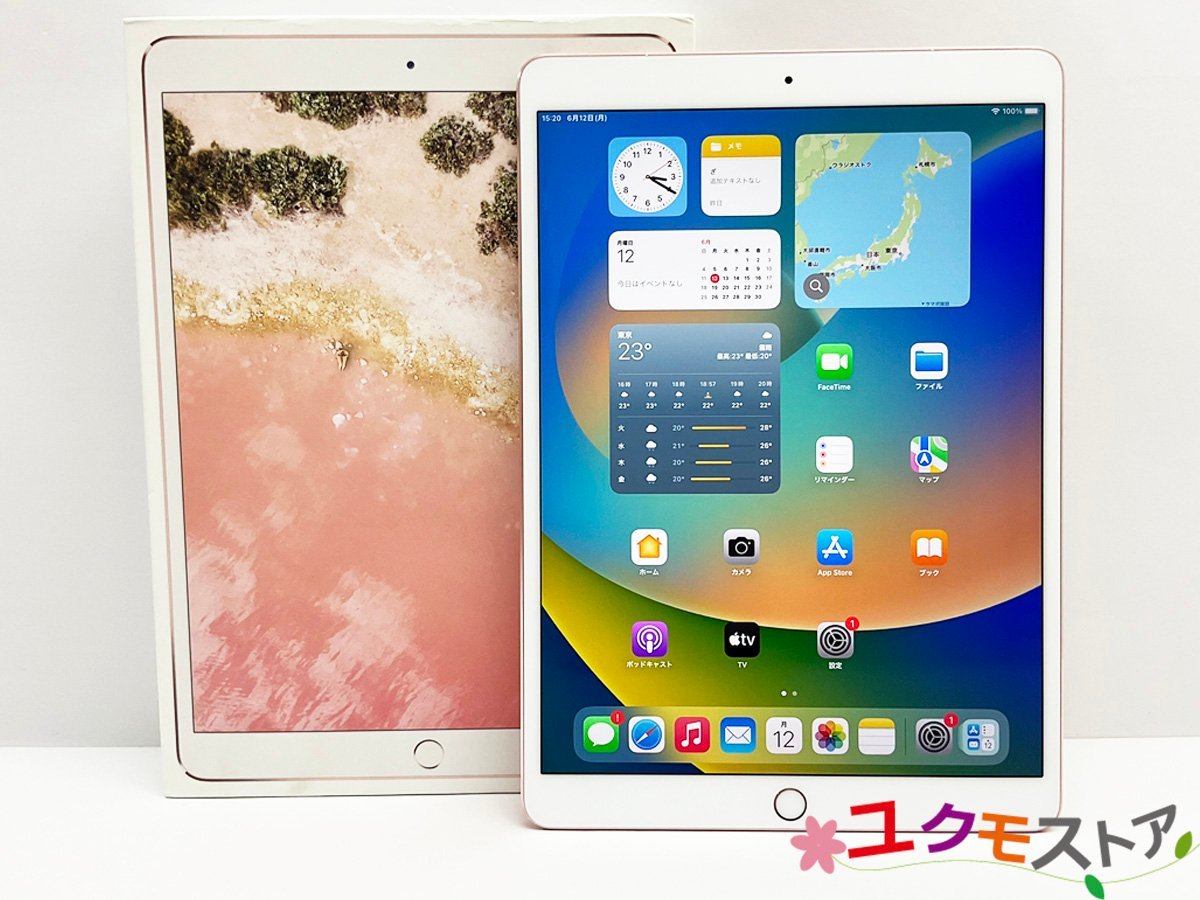 iPad pro 10.5インチ 64GB セルラーモデル 利用制限〇-