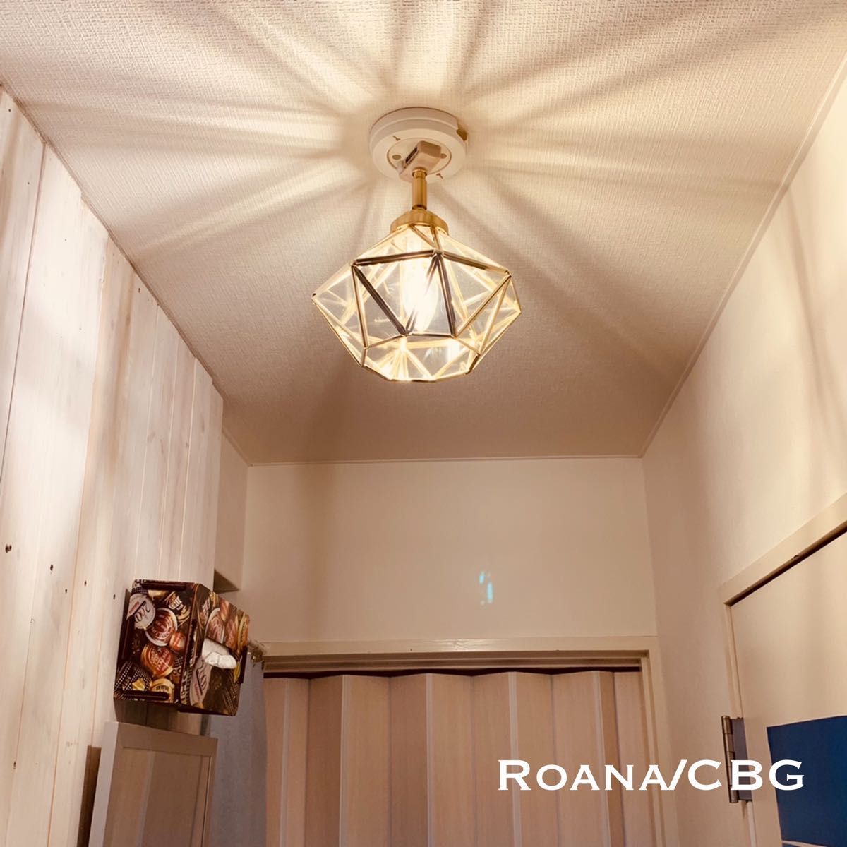 天井照明 Roana/C シーリングライト カットガラス ランプシェード E17ソケット 簡単取付 LED照明 インテリア 照明