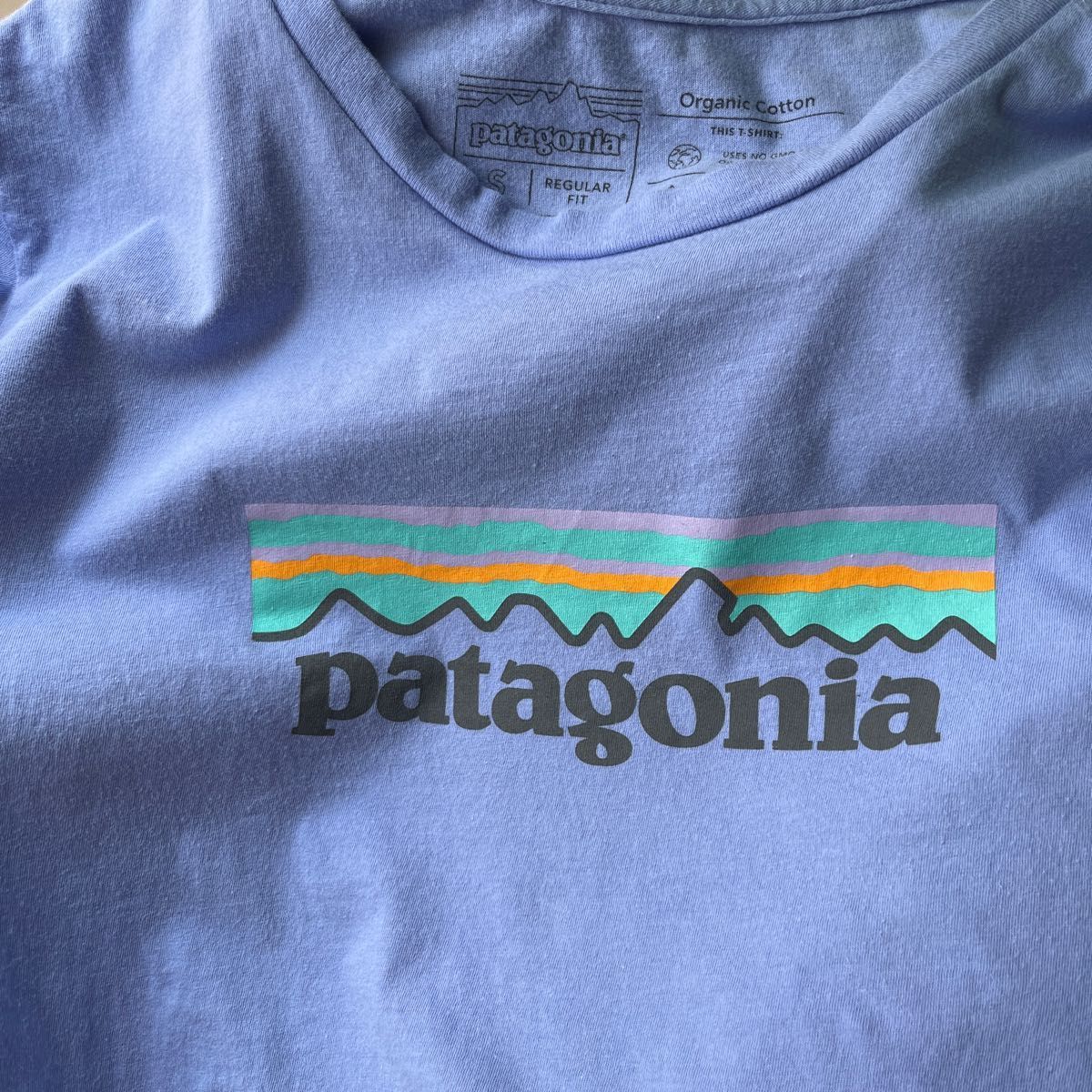 patagonia パタゴニア　ウィメンズ・パステル・P-6ロゴ・オーガニック・クルー・Tシャツ　レギュラーフィット