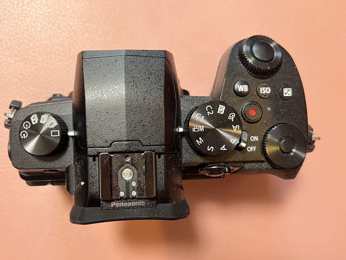 USED 美品】Panasonic Lumix DC-G99 | normanhubbard.com