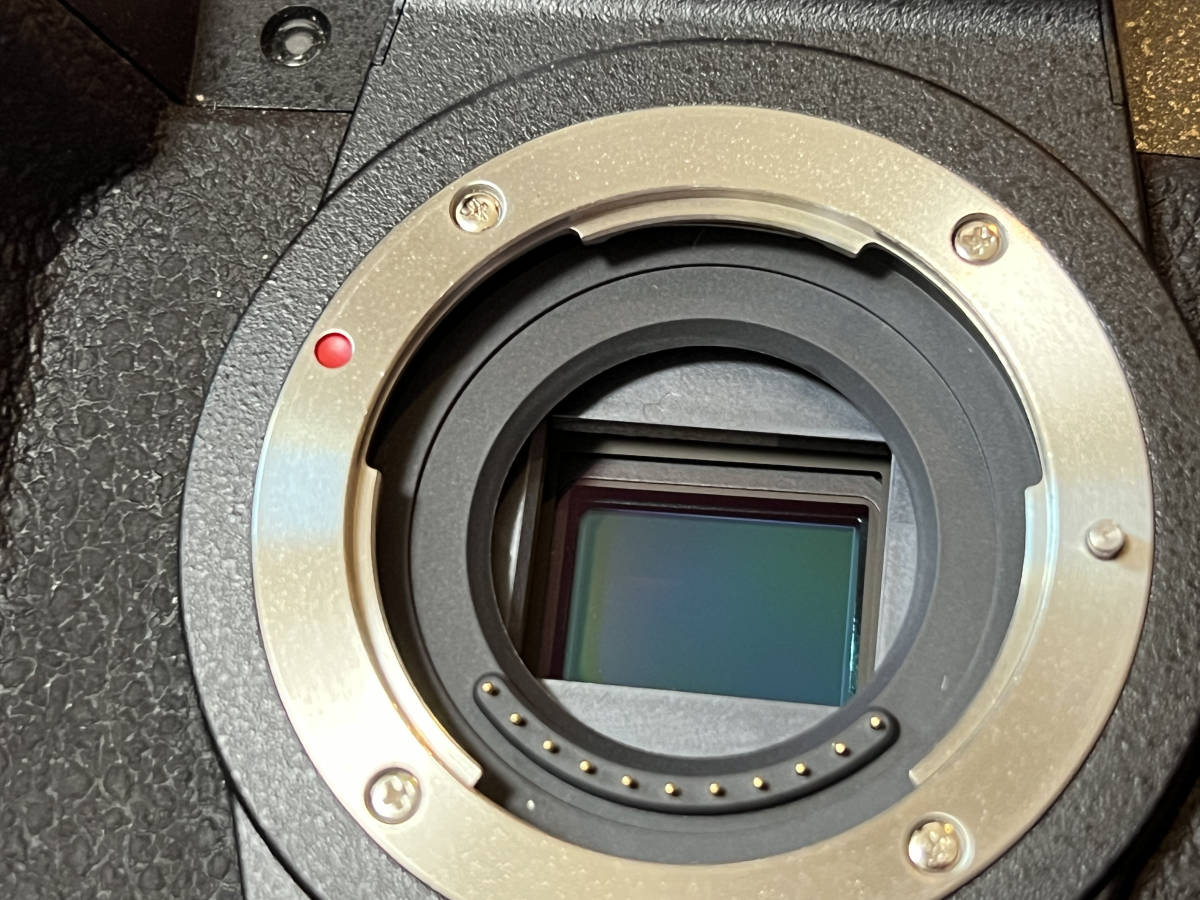 USED 美品】Panasonic Lumix DC-G99 | normanhubbard.com