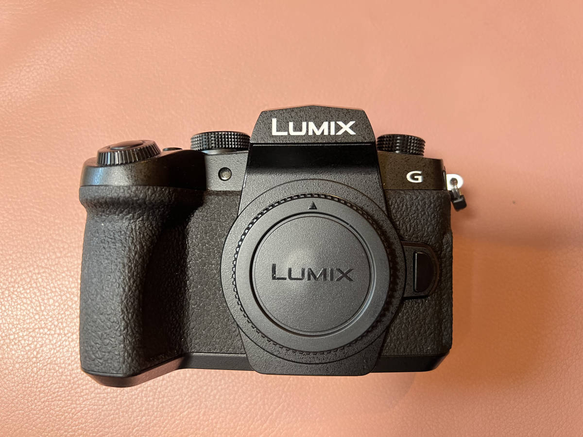 USED 美品】Panasonic Lumix DC-G99 | normanhubbard.com