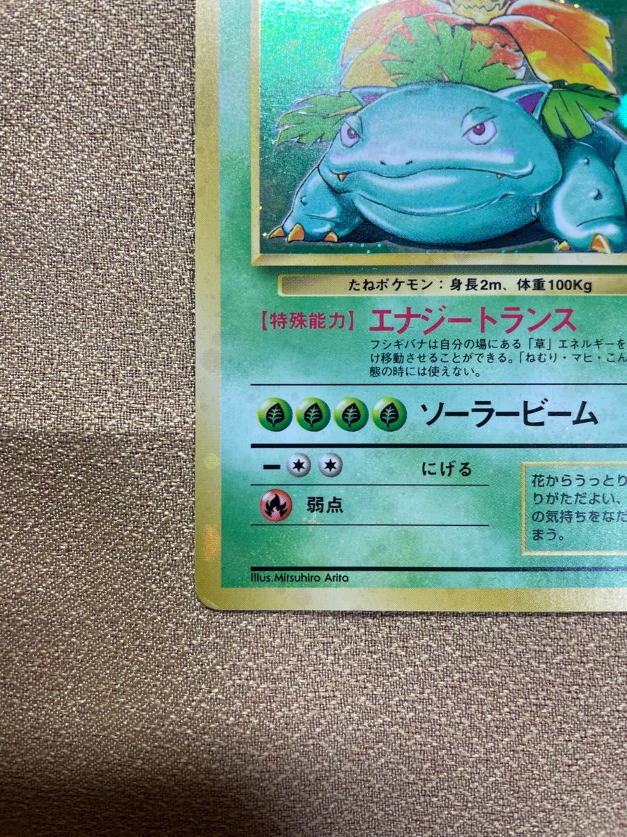 ポケモンカード　旧裏面　旧裏　フシギバナ　十字ホロ　枠ずれエラーカード