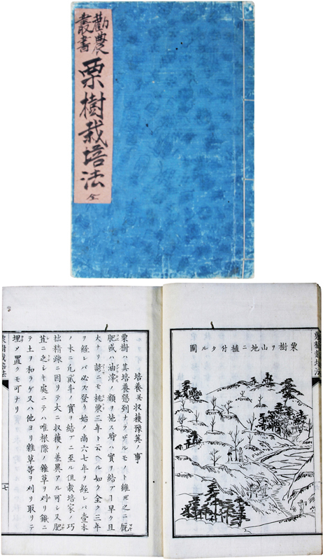 超新作】 勧農叢書 栗樹栽培法 和書 - blugrill.com.br
