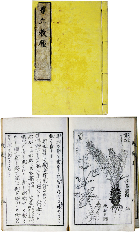 驚きの値段 豊年教種(救歉挙要) 和書 - aval.ec