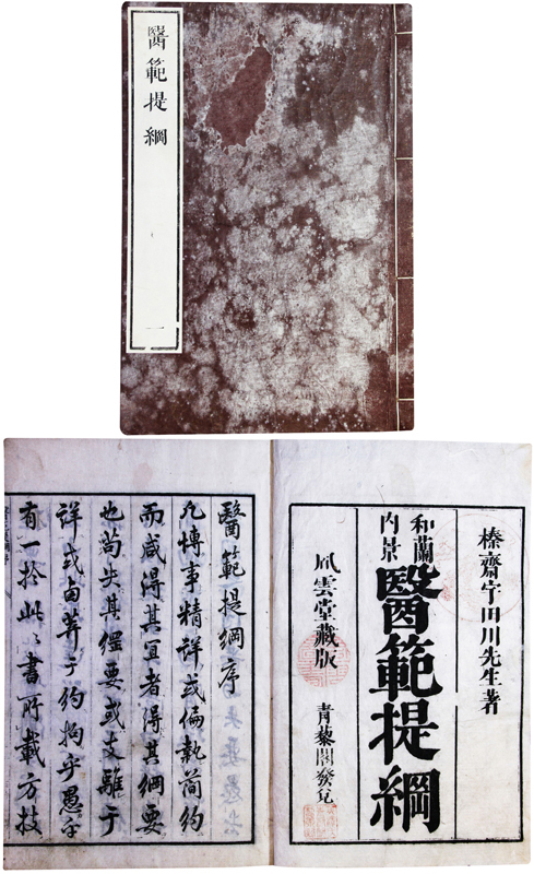 印象のデザイン 和蘭内景医範提綱 和書 - cf.lk