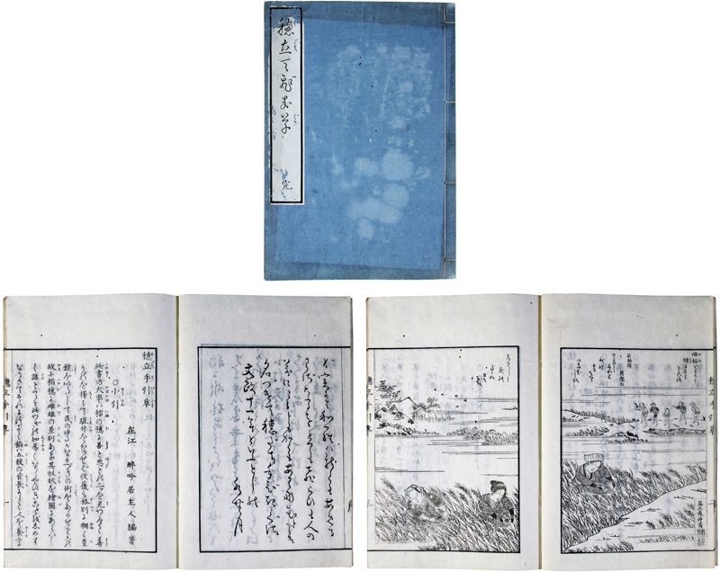 高評価なギフト 穂立手引草 和書 - cavalarc.com