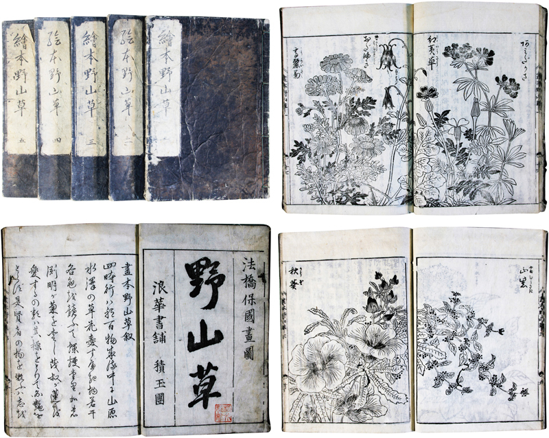人気メーカー・ブランド 【中古】 東洋陶磁大観 (1976年) 東京 人気メーカー・ブランド 【中古】 東洋陶磁大観 (1976年) 東京