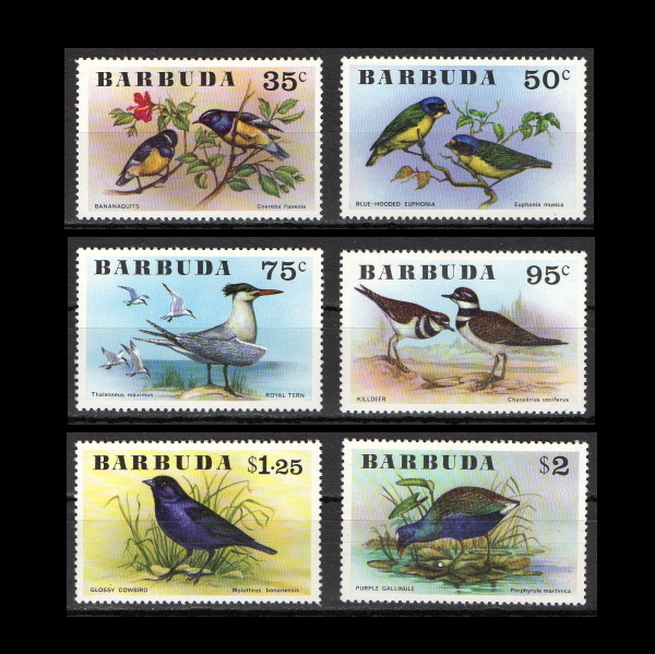 ■バーブーダ切手　1976年　鳥類　6種完_画像1
