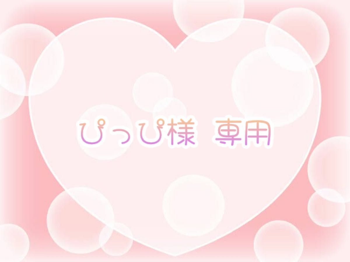 ぴっぴ様 専用|Yahoo!フリマ(旧PayPayフリマ)