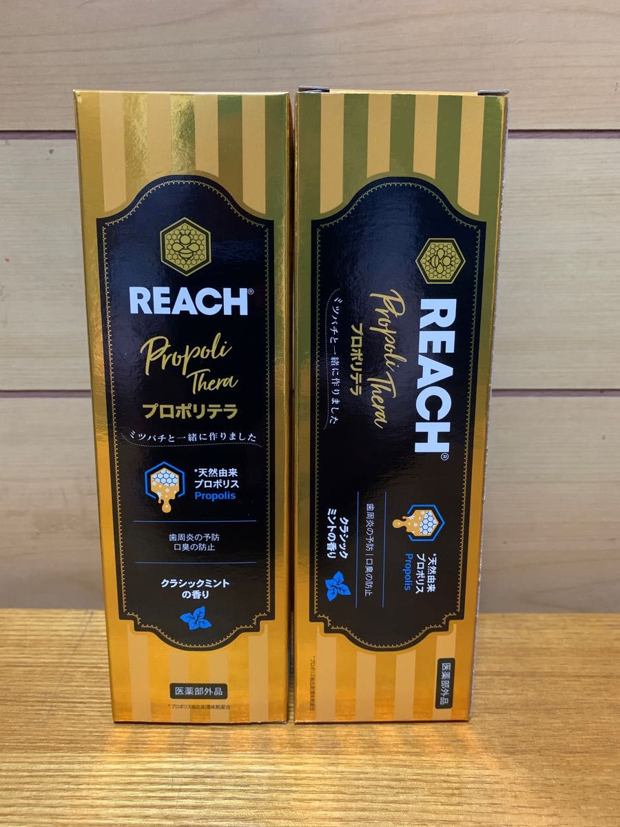 リーチ  REACH プロポリテラ 歯磨き粉  120g  5本セット