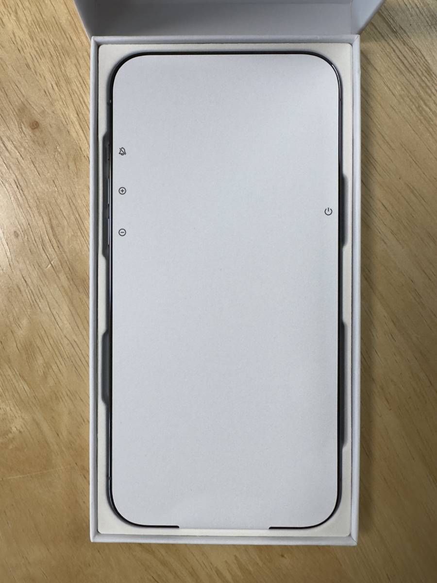 新品 未使用】海外版 iPhone 12 Pro Max 256GB パシフィックブルー SIM