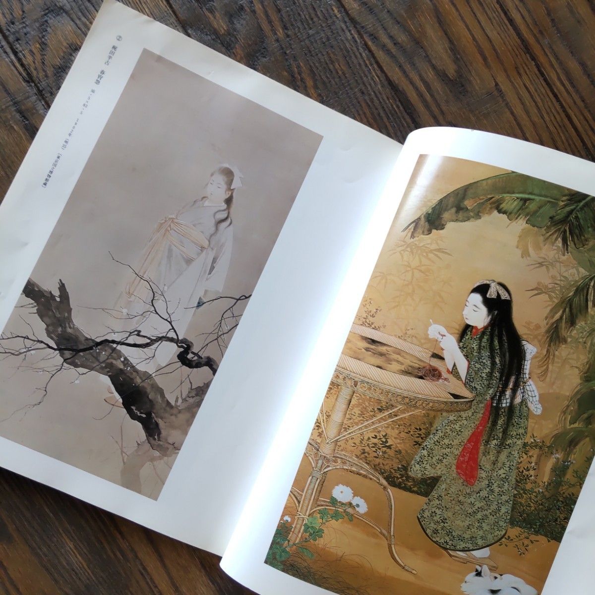 アサヒグラフ別冊　美術特集　近代日本画に見る美人