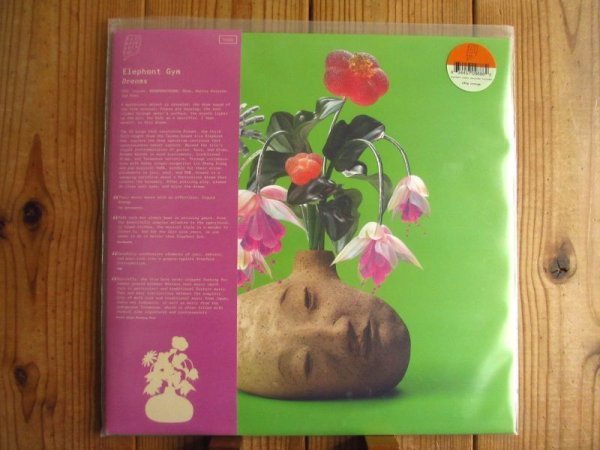 Elephant Gym / エレファントジム / Dreams / Topshelf Records / TSR242 / Limited Edition / Orange Vinyl_画像1