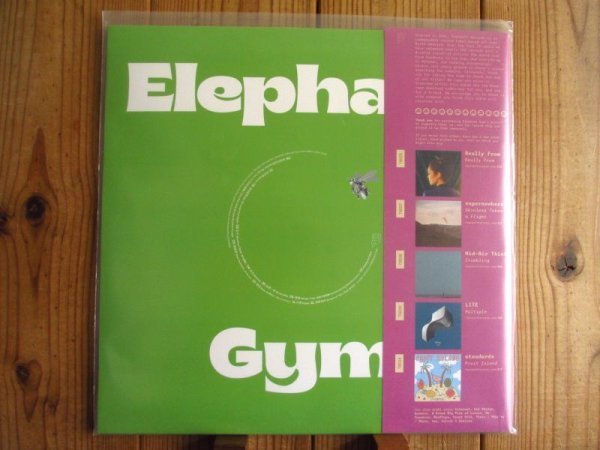Elephant Gym / エレファントジム / Dreams / Topshelf Records / TSR242 / Limited Edition / Orange Vinyl_画像2