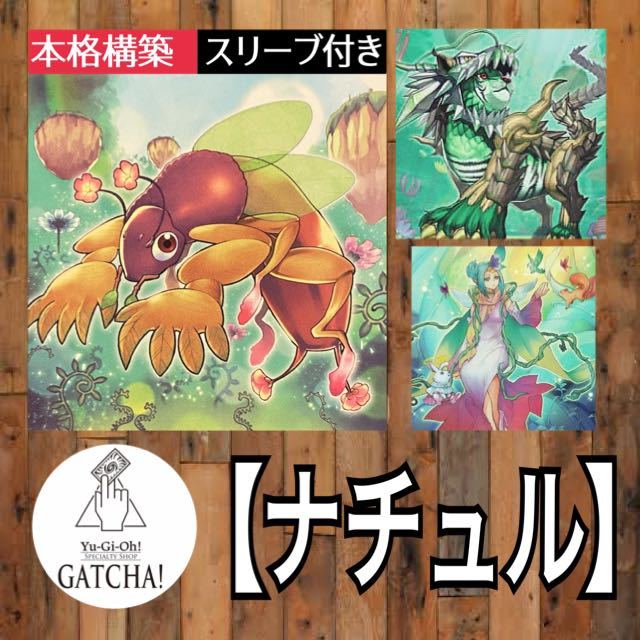 即日発送！【ナチュル春化精】デッキ　遊戯王