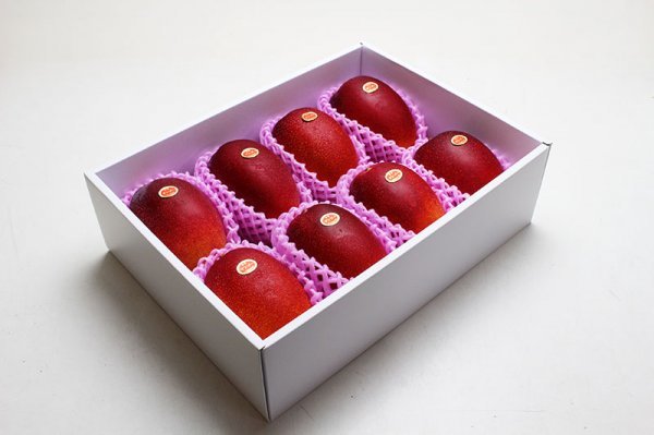 限定1箱】宮崎県特産完熟マンゴー 【赤秀品】 大玉 8玉入(合計4.2kg