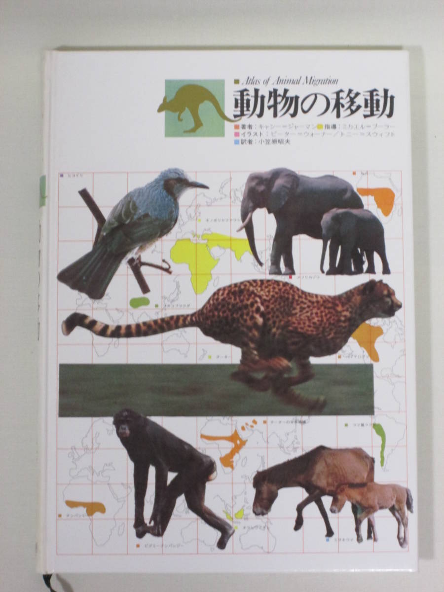  Gakken 4 volume set animal. world animal. movement insect. world sea .. world 