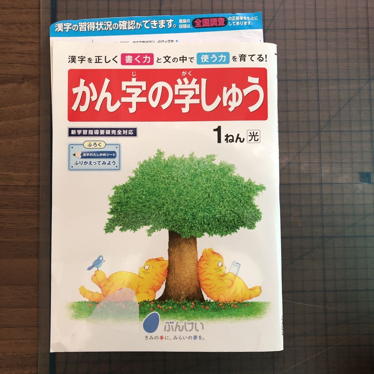 Y26-1421 1年生 かん字の学しゅう 文溪堂 漢字のたしかめシート付 解答付 テスト プリント 予習 復習 英語 家庭科 家庭学習 非売品_画像1