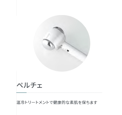 タカラベルモント ノアージュ SLFIP 最高級 フルスペック スチーマー