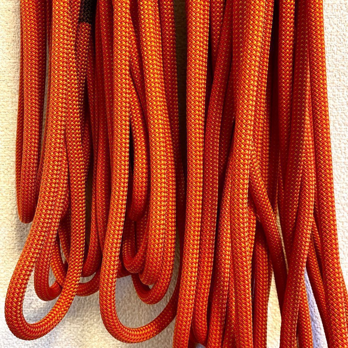 ペツル Petzl アリアル ARIAL 9.5mm 60m クライミングロープ シングルロープ ダイナミックロープ 登山 ロープ