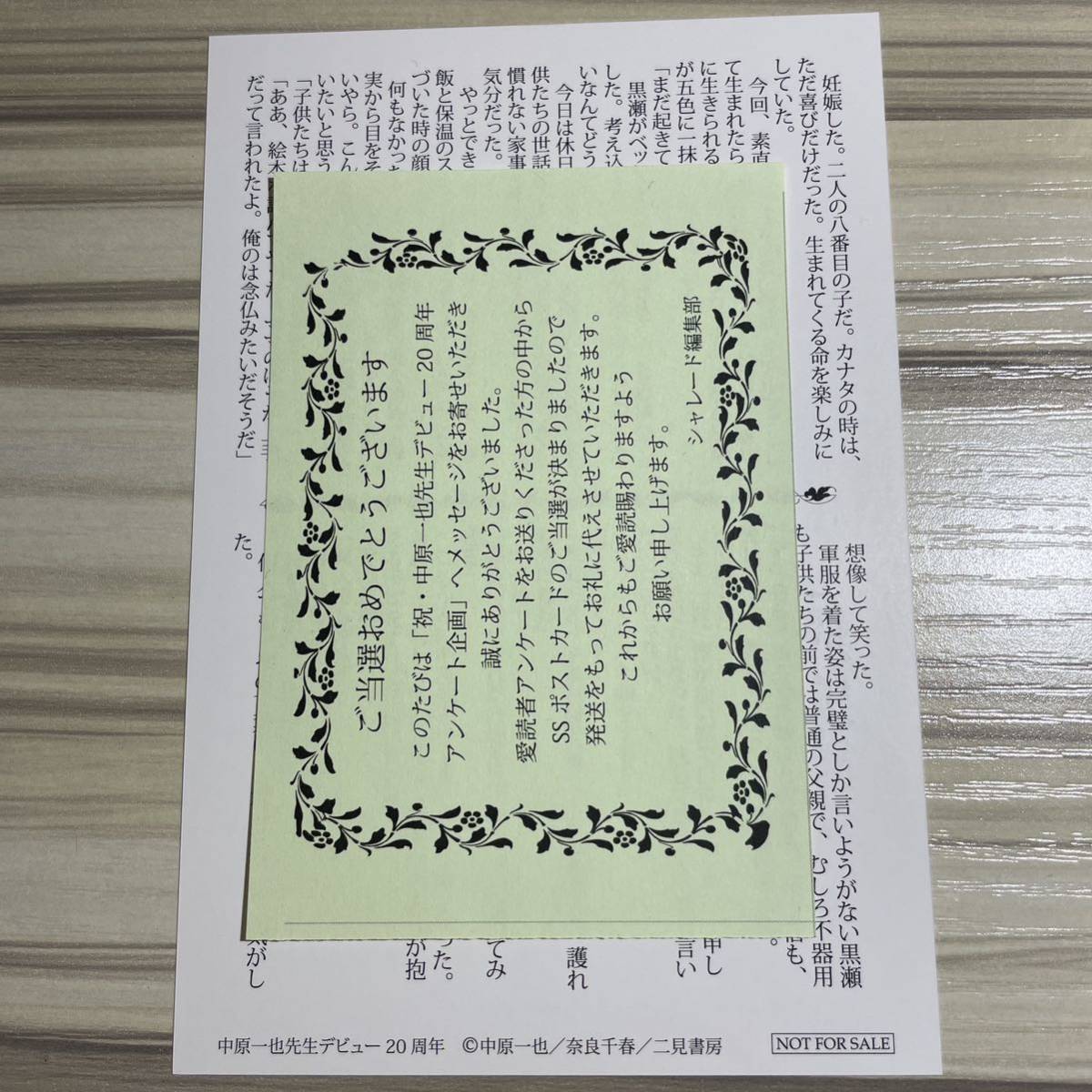 当選品 最強アルファと発情しない花嫁 最強アルファと発情させ 当選品 最強アルファと発情しない花嫁 最強アルファと発情させ