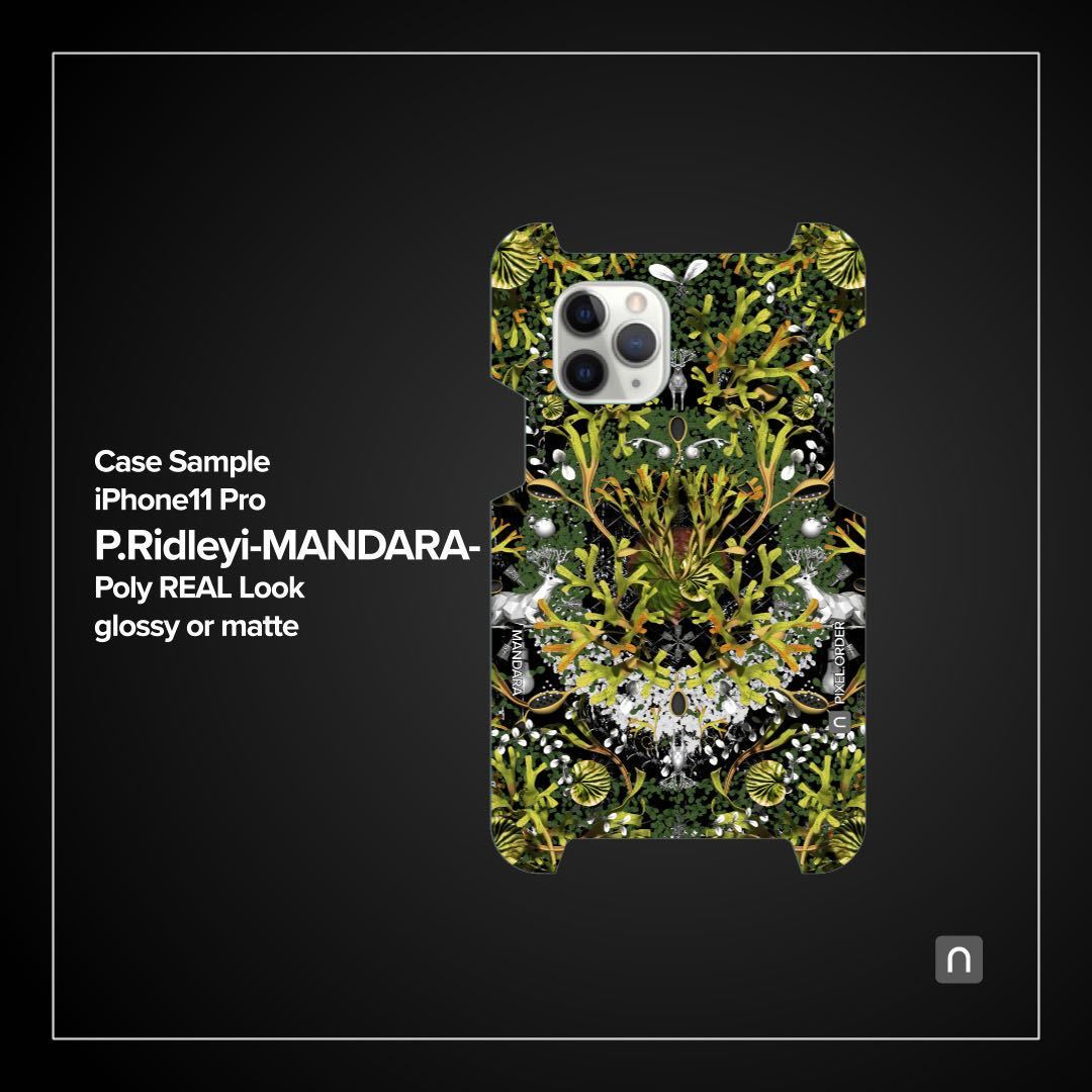 ビカクシダ リドレイiPhone11ケース【MANDARA】の画像2