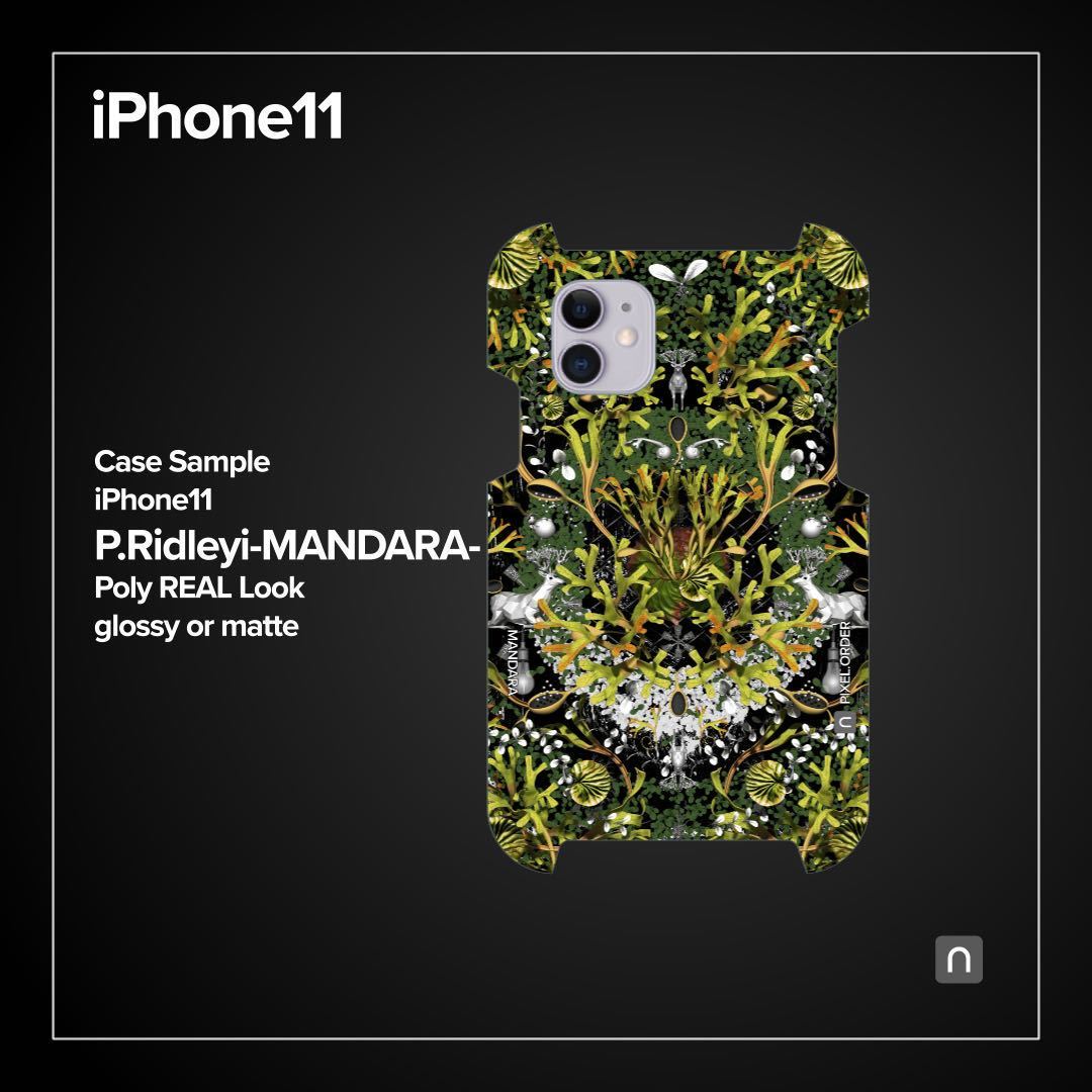 ビカクシダ リドレイiPhone11ケース【MANDARA】の画像1